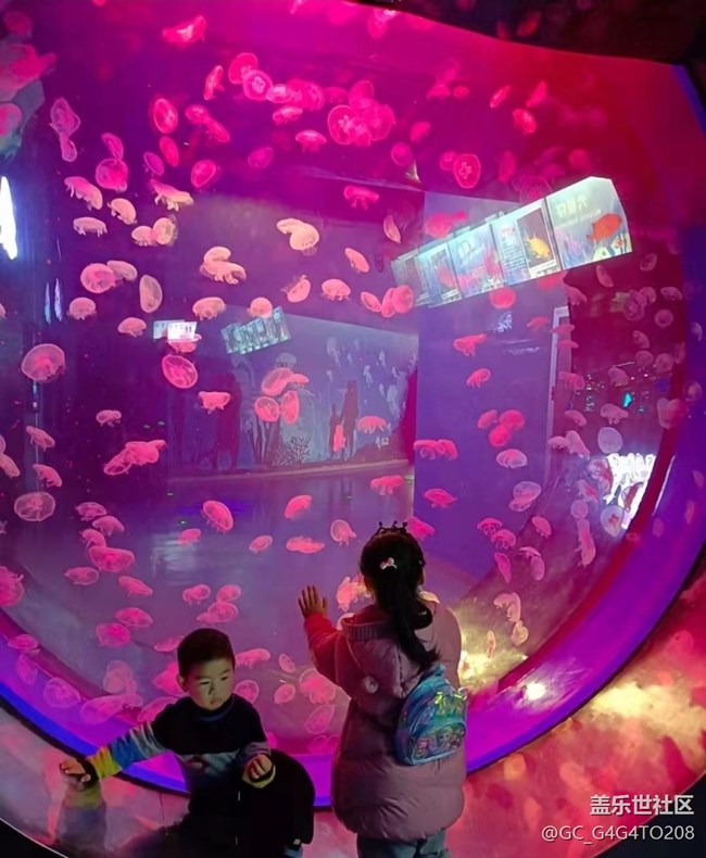 【春節(jié)行跡】假期過完了