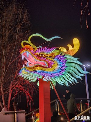 【金蛇轉(zhuǎn)好運(yùn)】秦淮燈會(huì)（三）