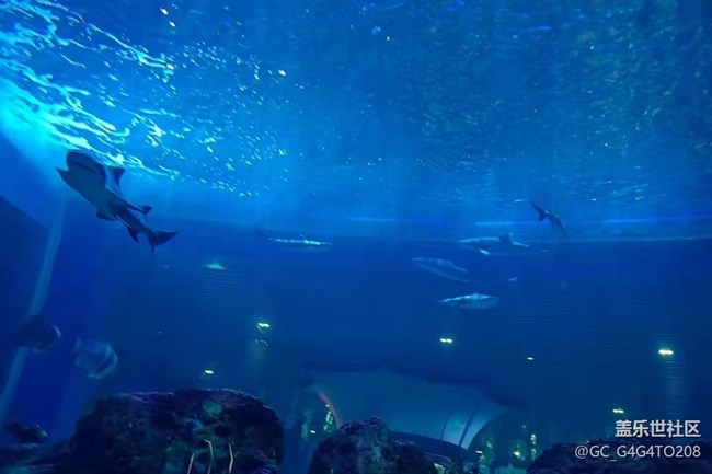 【春節(jié)行跡】假期過完了