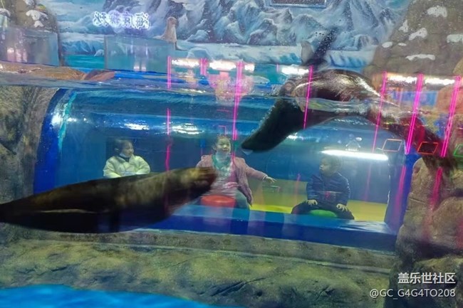 【春節(jié)行跡】假期過完了