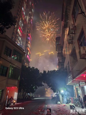 【金蛇轉(zhuǎn)好運】+除夕夜