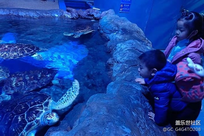 【春節(jié)行跡】假期過完了