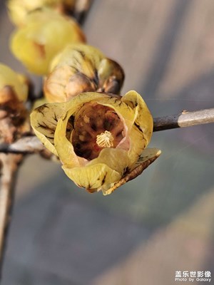 分享下，大家一起來看看