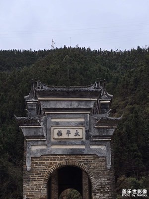 金蛇轉(zhuǎn)好運(yùn)+萬事如意