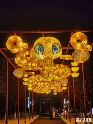 【金蛇轉(zhuǎn)好運(yùn)】秦淮燈會(huì)（四）