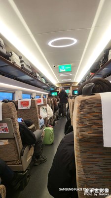 【金蛇轉(zhuǎn)好運(yùn)】+說走就走的牛馬生活