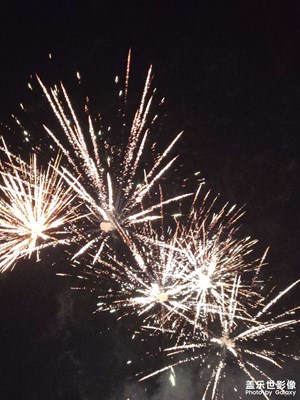 【金蛇轉(zhuǎn)好運(yùn)】+煙花綻放
