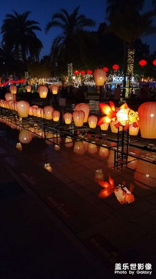 【燈影情長】+燈影交錯(cuò)