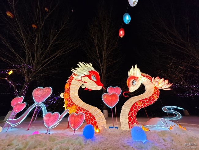 【記錄我的春節(jié)】+ 逛燈會(huì)