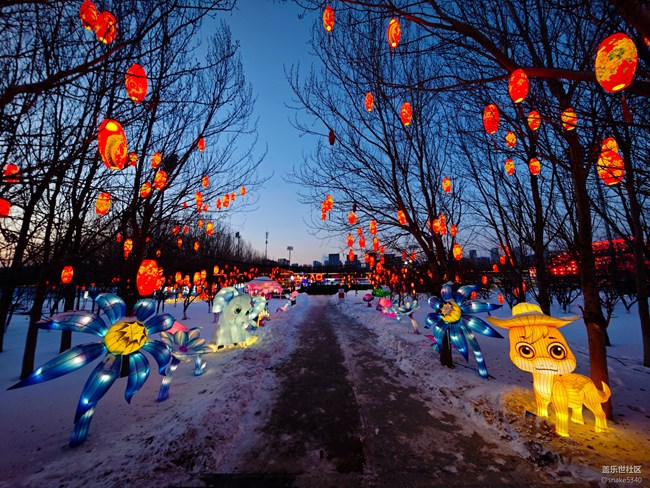 【記錄我的春節(jié)】+ 逛燈會(huì)