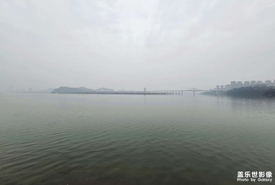 【金蛇轉(zhuǎn)好運(yùn)】+黃金江岸的海