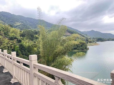 【金蛇轉(zhuǎn)好運】+山野湖景記