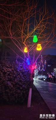 【燈影情長】+賞燈吃元宵