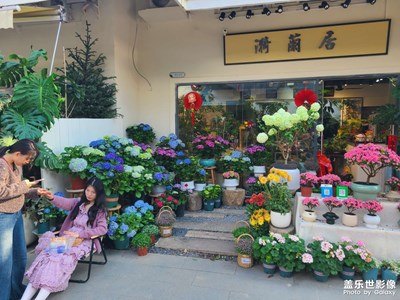 深圳花卉小鎮(zhèn)