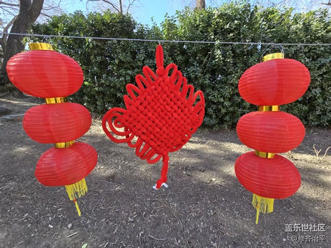 【年味】花開富貴新年到