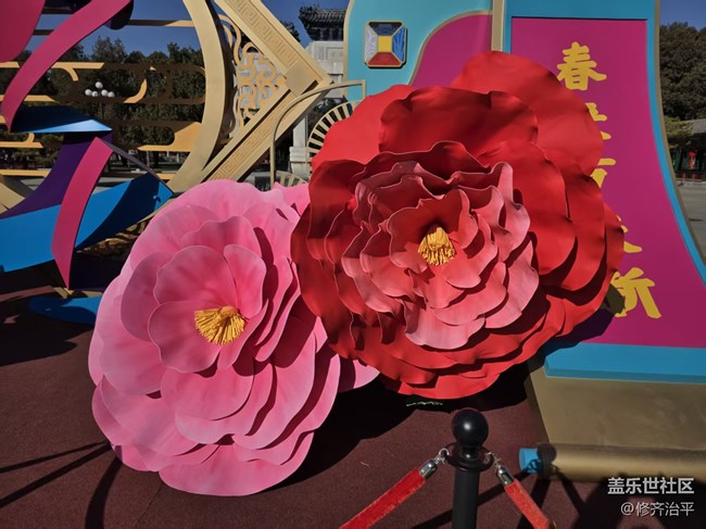 【年味】花開富貴新年到