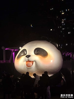 【燈影情長】+賞燈