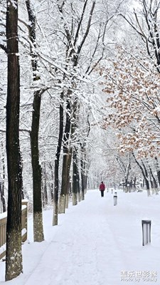 【金蛇轉(zhuǎn)好運(yùn)】+雪中行