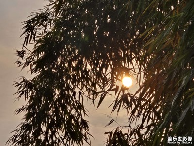 【金蛇轉好運】+返鄉(xiāng)時刻