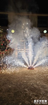 【金蛇轉好運】+期待下一年