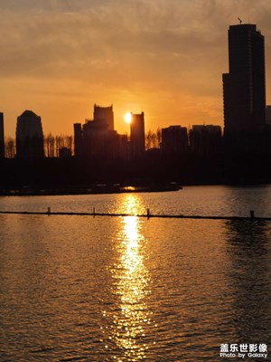 【金蛇轉(zhuǎn)好運】+冬日夕陽