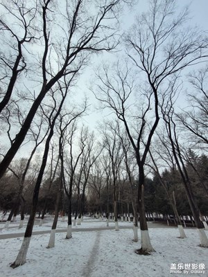 【金蛇轉(zhuǎn)好運(yùn)】+公園