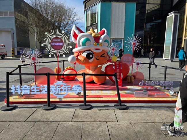 【年味】新年到喜洋洋