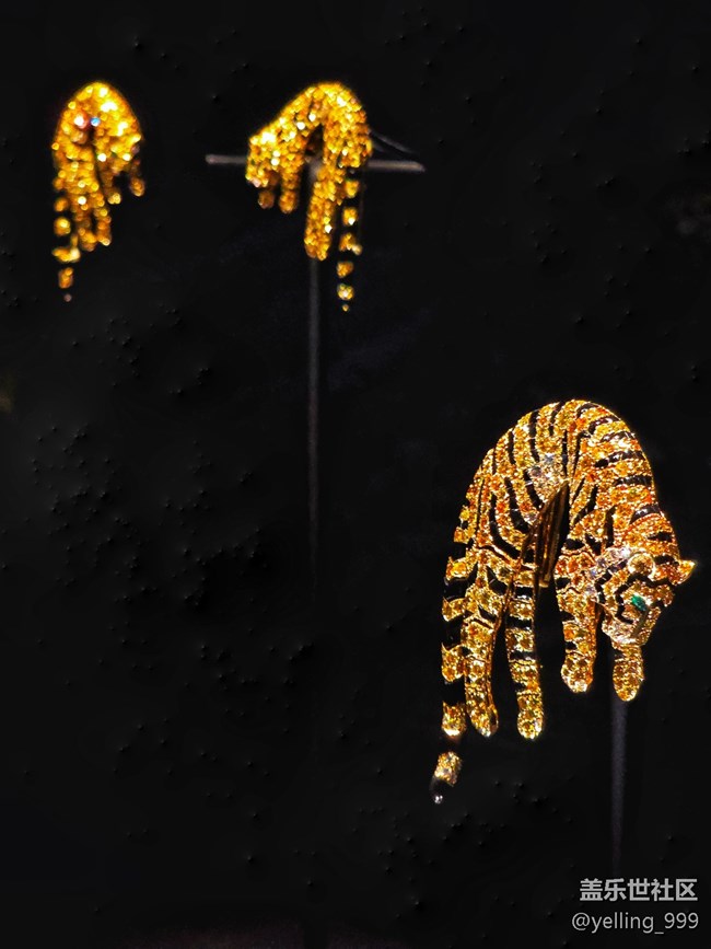 上海星部落2月15日卡地亞的藝術(shù)魔力展線下攝影活動回顧帖