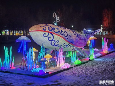 【燈影情長(zhǎng)】元宵燈會(huì)