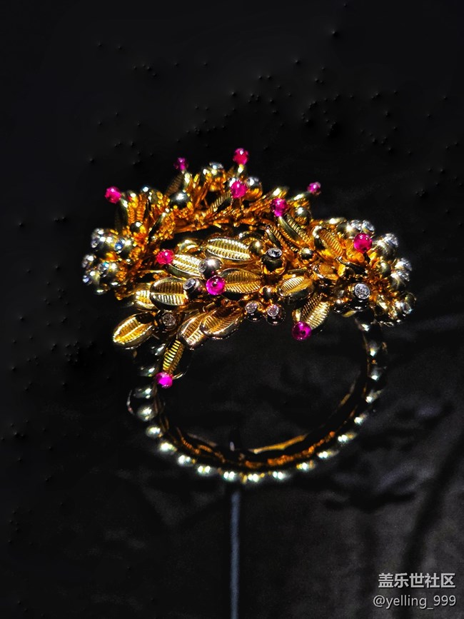 上海星部落2月15日卡地亞的藝術(shù)魔力展線下攝影活動回顧帖