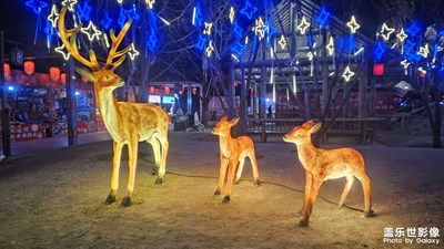 【金蛇轉(zhuǎn)好運】燈會