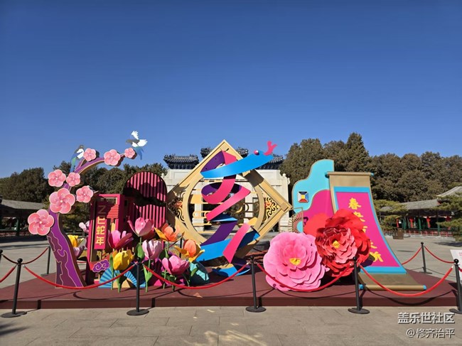 【年味】花開富貴新年到