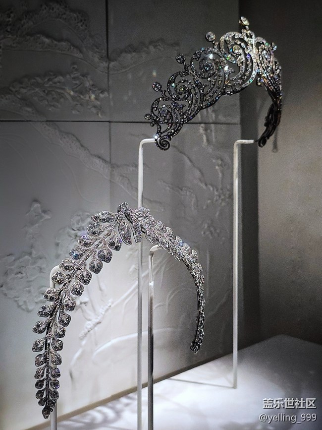 上海星部落2月15日卡地亞的藝術(shù)魔力展線下攝影活動回顧帖