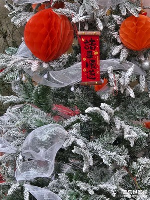 【金蛇轉(zhuǎn)好運】+諸事順遂