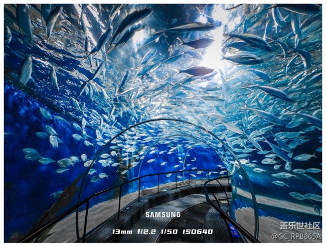 【喜迎S25】拍照提升