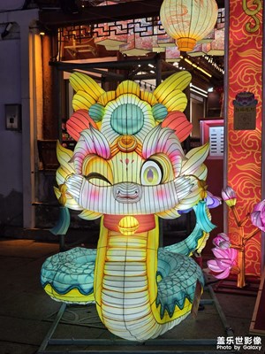 【燈影情長】賞燈會