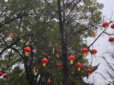 【燈影情長】+喜慶燈籠