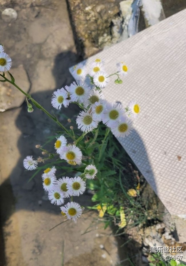 【Note手機里的初春】自然風光