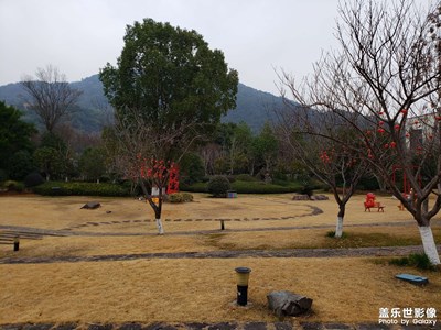 【早春映像】陰雨綿綿
