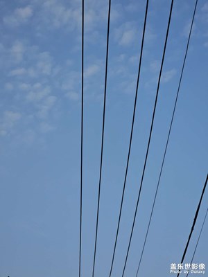 【早春映像】+春的氣息