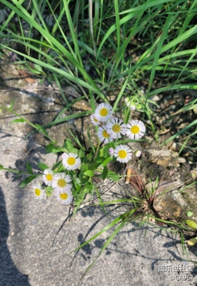 【Note手機里的初春】自然風光