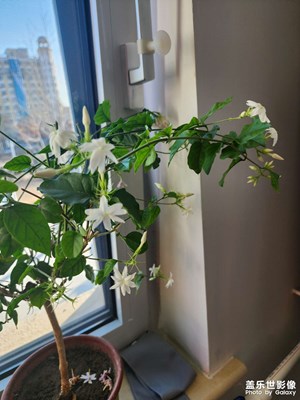 【早春映像】+春日暖陽