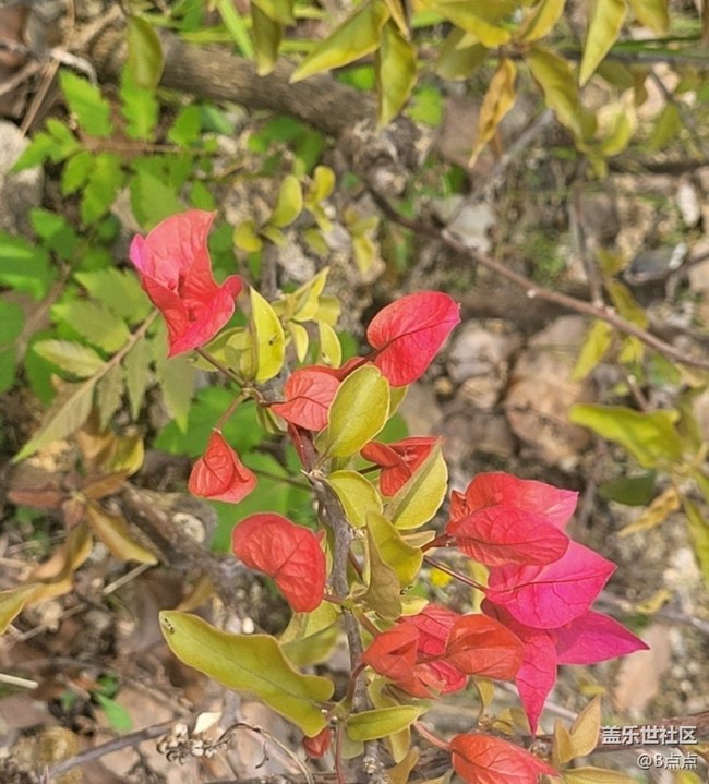 【Note手機里的初春】走走看看