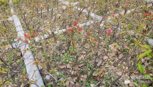 【Note手機里的初春】走走看看