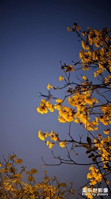 【早春映像】+又是一年春