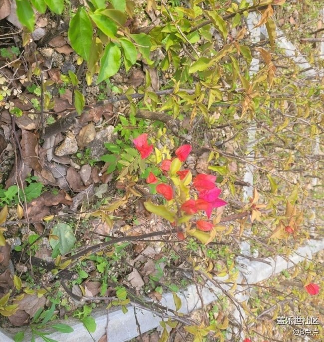 【Note手機里的初春】走走看看