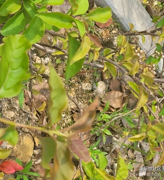 【Note手機里的初春】走走看看