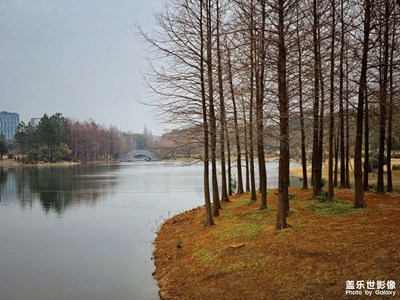 【早春印象】微涼