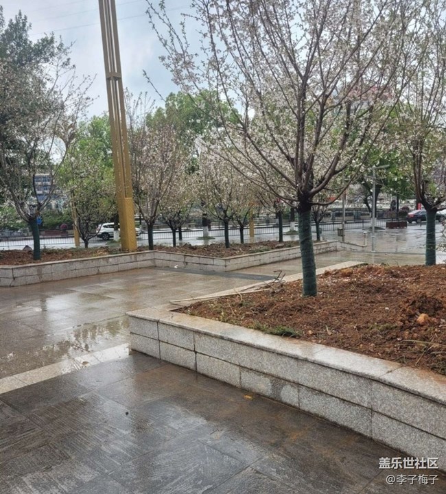 【Note手機(jī)里的初春】梨花開