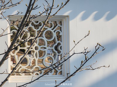 【早春映像】春日暖陽(yáng)里